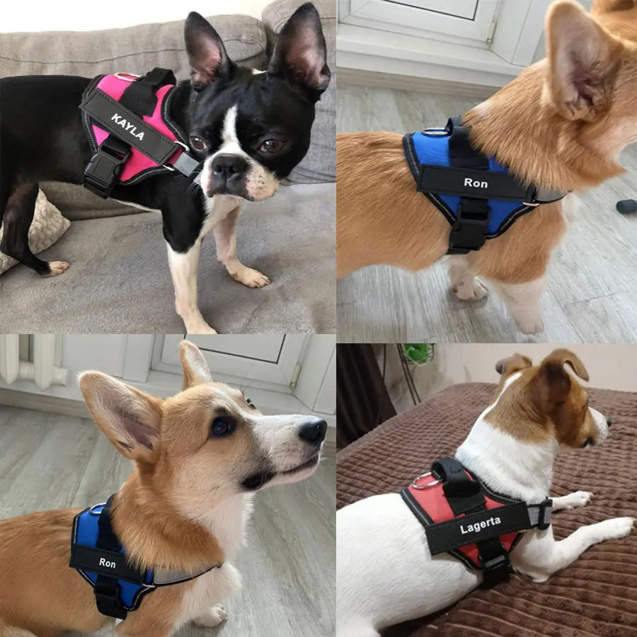 Senior Dog Walking Harness – Reflective & Adjustable