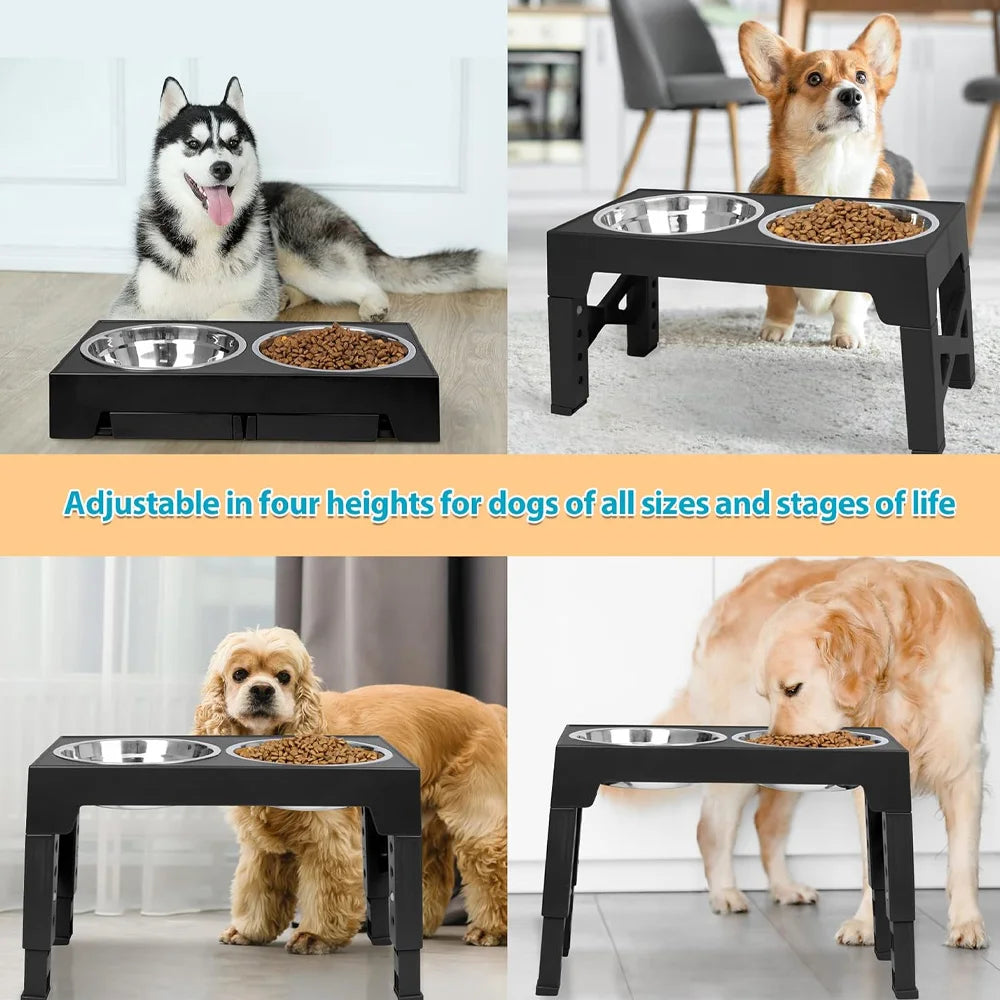 Elevated Dog Feeder – Raised Bowls for Senior Dogs