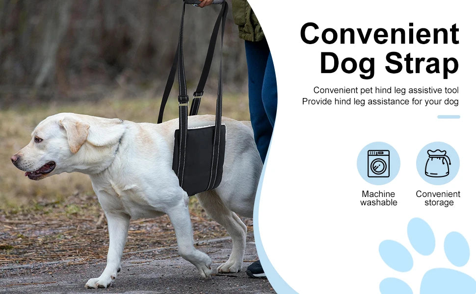 Senior Dog Rear Leg Sling Harness – Rehab & Mobility Aid