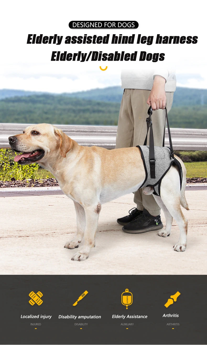 Senior Dog Rear Leg Support Harness
