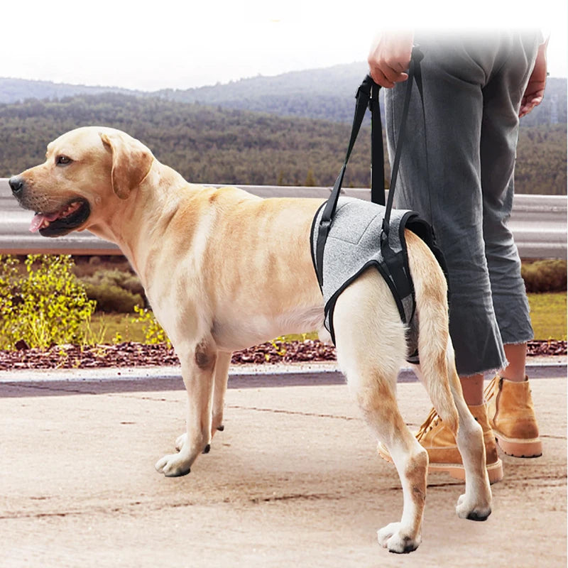 Senior Dog Rear Leg Support Harness