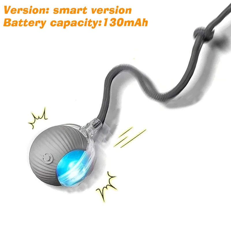 Automatic Rolling Dog Ball – Rechargeable Interactive Toy