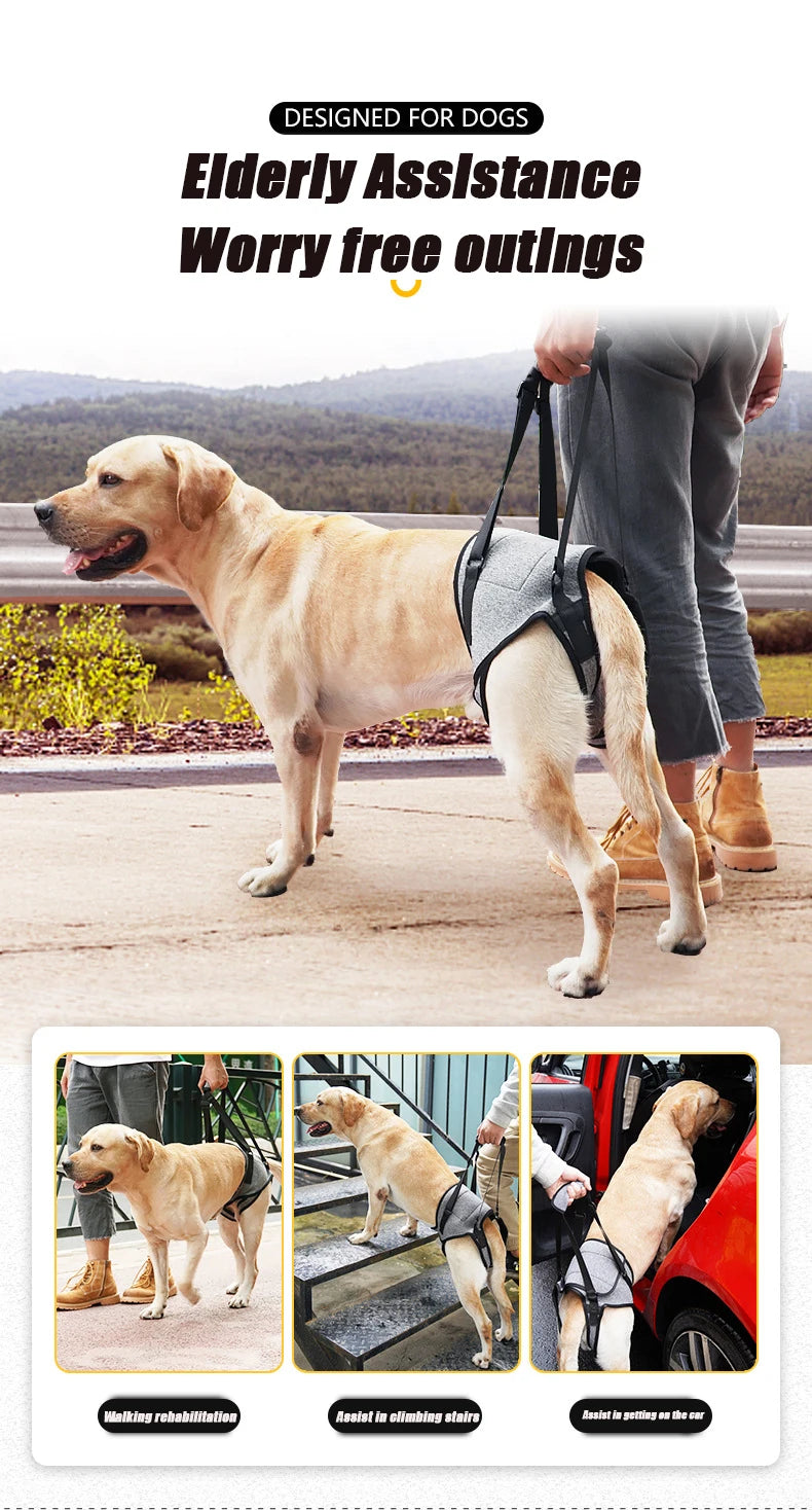 Senior Dog Rear Leg Support Harness