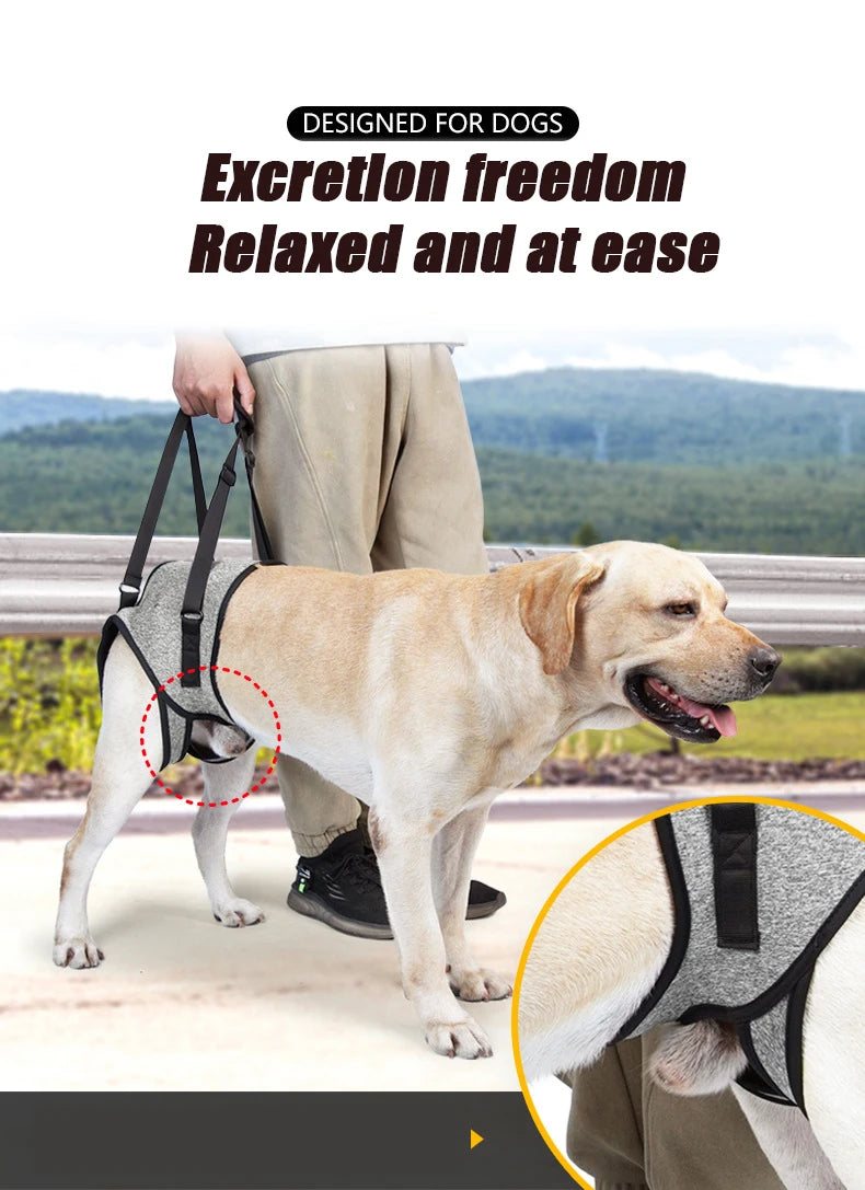 Senior Dog Rear Leg Support Harness