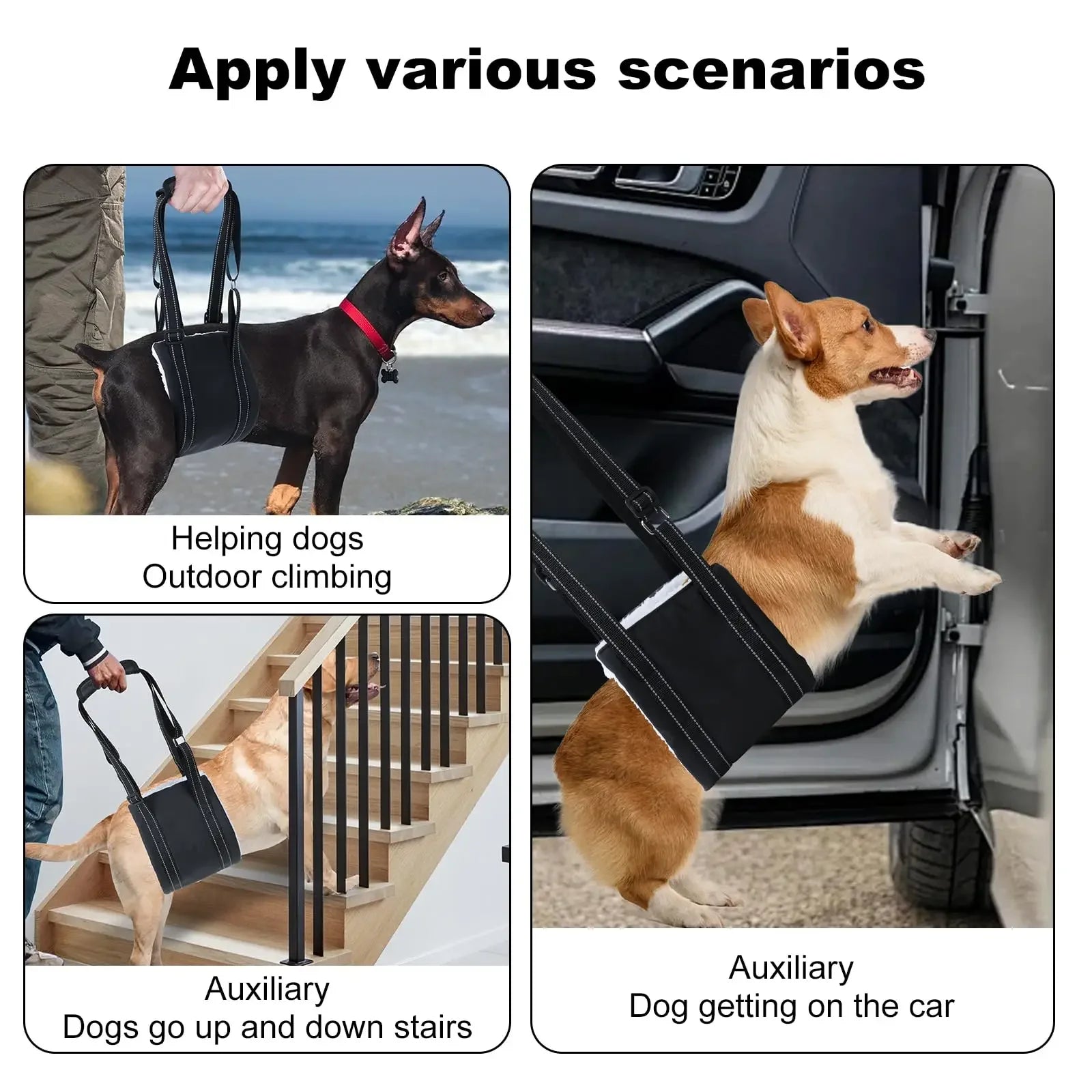 Senior Dog Rear Leg Sling Harness – Rehab & Mobility Aid