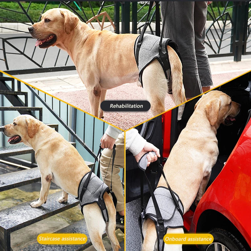 Senior Dog Rear Leg Support Harness