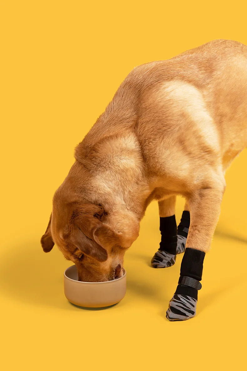 Anti-Slip Dog Socks – Indoor Traction & Paw Protection
