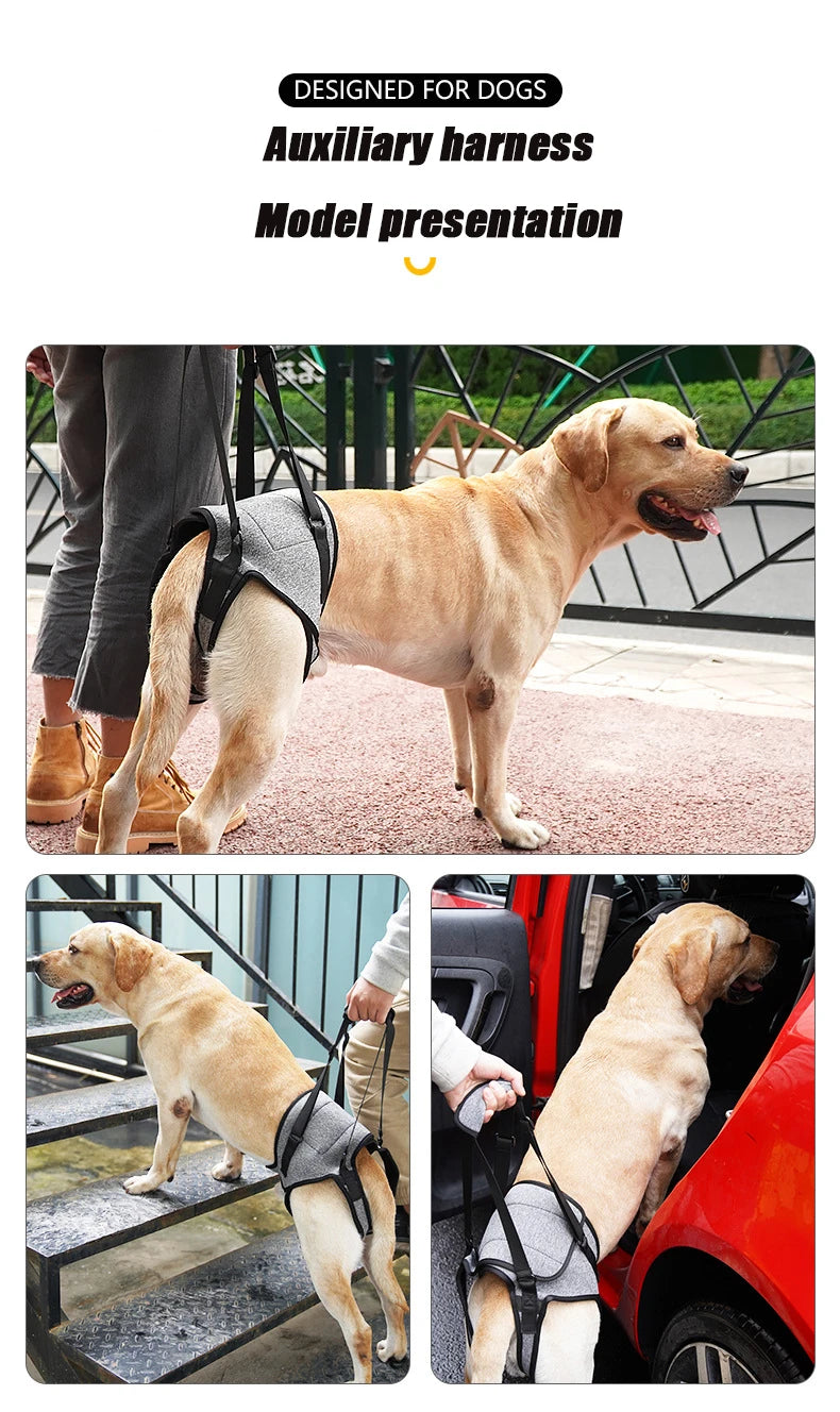 Senior Dog Rear Leg Support Harness