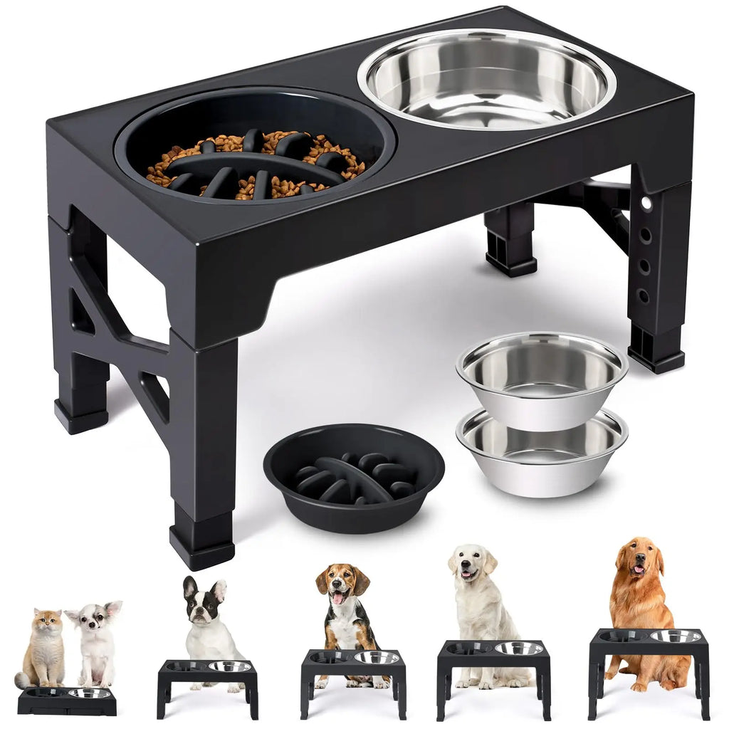 Elevated Dog Feeder – Raised Bowls for Senior Dogs