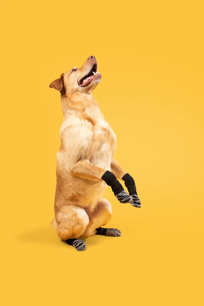 Anti-Slip Dog Socks – Indoor Traction & Paw Protection