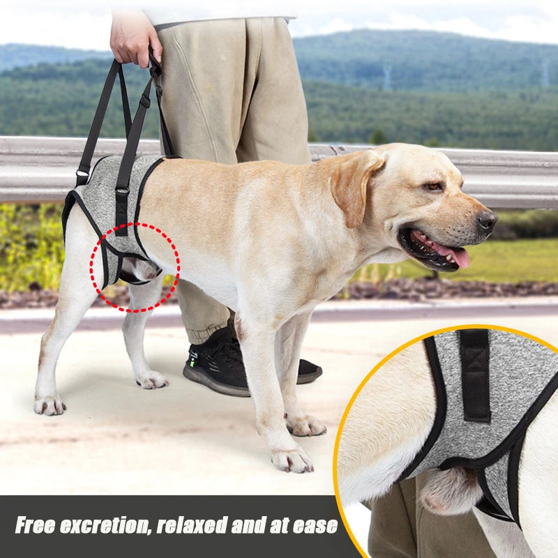 Senior Dog Rear Leg Support Harness