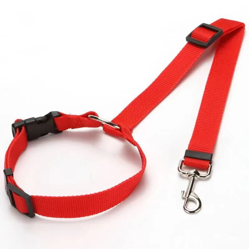 Two-in-One Car Safety Leash & Harness Connector