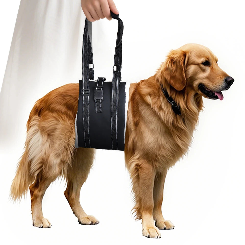 Senior Dog Rear Leg Sling Harness – Rehab & Mobility Aid