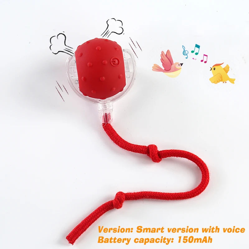 Automatic Rolling Dog Ball – Rechargeable Interactive Toy