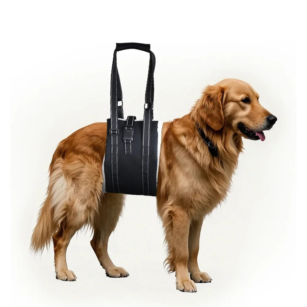 Senior Dog Rear Leg Sling Harness – Rehab & Mobility Aid