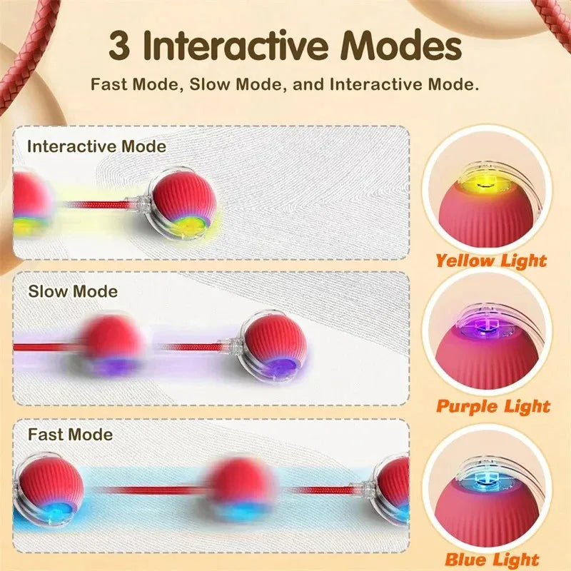 Automatic Rolling Dog Ball – Rechargeable Interactive Toy