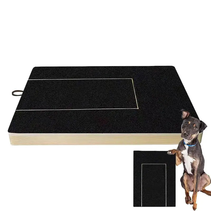 Dog Nail Scratch Board with Treat Box