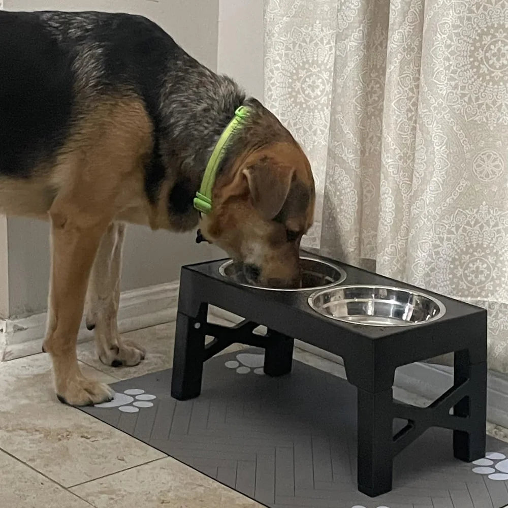 Elevated Dog Feeder – Raised Bowls for Senior Dogs