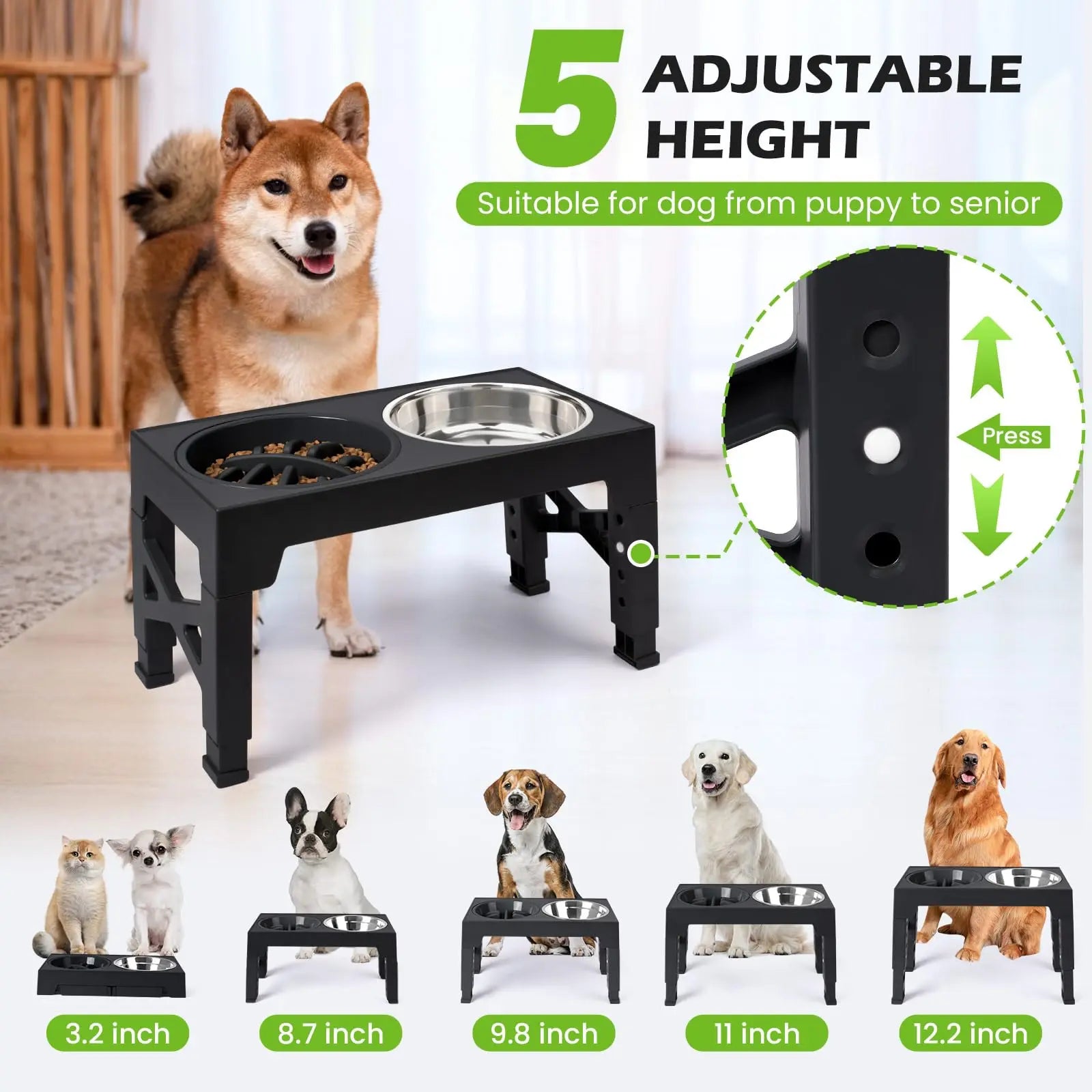 Elevated Dog Feeder – Raised Bowls for Senior Dogs