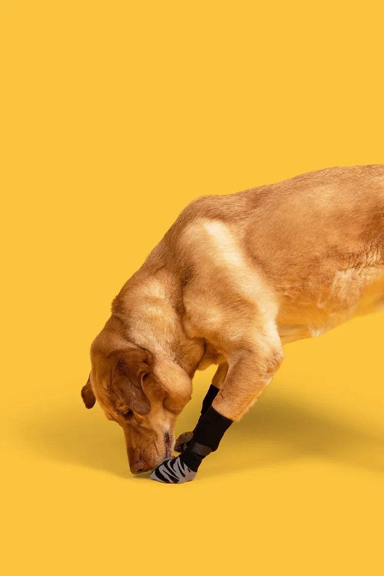Anti-Slip Dog Socks – Indoor Traction & Paw Protection