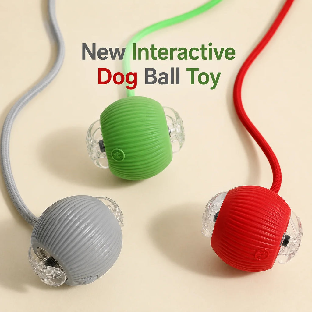 Automatic Rolling Dog Ball – Rechargeable Interactive Toy