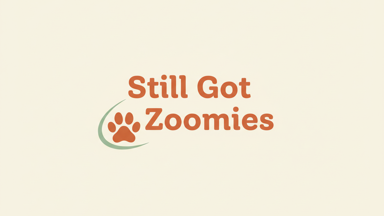 Still Got Zoomies